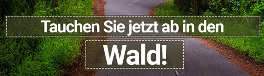 Waldmotive 4