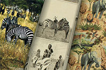 Stoffe - Afrika Afrika Motivstoffe Stoffe Afrika Designs Afrika Motivstoffe Afrika Motivstoffe