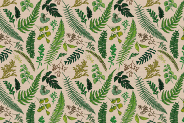 kaktus mit blüten Mini-Kaktus mit weißen Blüten – Classic Floral main image 0