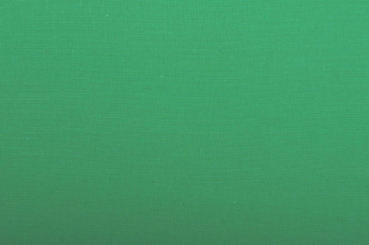 Fotohintergrund 275 x 700 cm - Ohne Naht Green Screen