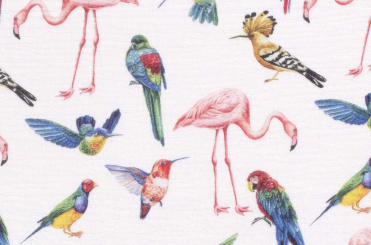 Musselin Digital - Bunte Vögel 