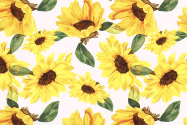 Baumwollstoff - Sonnenblumen 