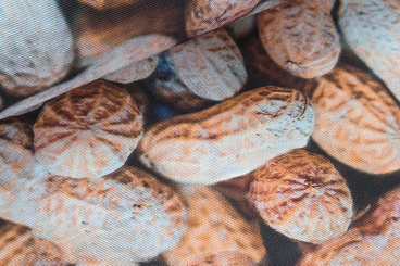 Dekostoff Premium - Erdnüsse 