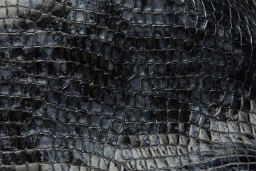 Kalbsleder Premium - Croco Gloss - Schwarzblau 