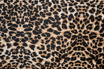 Baumwollstoff - Brown Leo 
