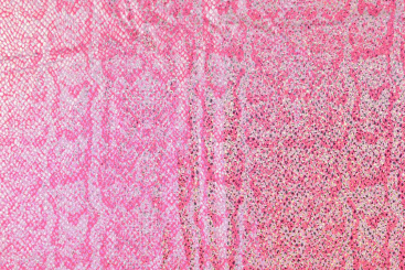 Tanzkleiderstoff Hologramm - Pink Reptile 