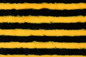 Flausch-Fleece - Biene 