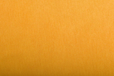 Fotohintergrund Bicolor 280 cm 