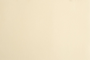 Kunstleder - Saniproofed für Arztpraxen u. Co - Champagner - 1,0 Meter 