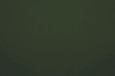 Polyester-Stoff - reißfest und wasserabweisend - Military Green - 2,0 Meter 