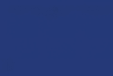 Persenning-Plane - 460 g - 250 cm breit - Royal 