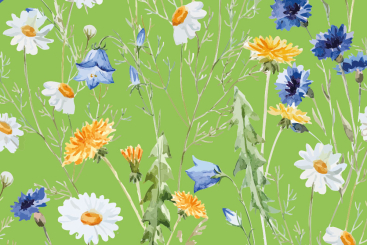 Voile-Gardinenstoff - Margeriten-Wiese - Grün 