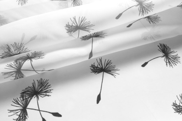 Voile - Pusteblume 