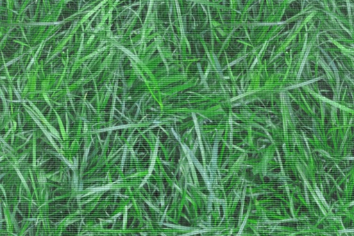 Mal was anderes! Diese umweltfreundliche Insektenabwehr ist mit einem realistisch wirkenden Grasprint versehen 133 107837 Moskitonetz Stoff Gras Gardinen transparent Moskitonetz-Meterware - Grünes GrasMoskitonetz mit Grasmotiv