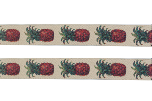 Webband mit Ananas-Motiv für Verzierungen Bm1069 Webband Ananas Gemusterte Bänder Jacquard-Borte - AnanasWebband mit Ananas-Motiv auf beigefarbigem Untergrund