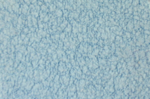 Weicher Frottee-Stoff in Schaffell-Optik aus reiner Baumwolle, elastisch und super wärmend  Co6233 Baby Schaefchen Stoff Hellblau(1) Frottee Stoff Schäfchen-Frottee Hellblau