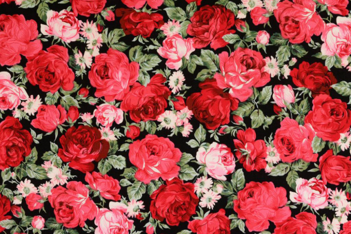 Üppiges Rosendesign auf reiner Baumwolle - Nostalgie pur! Co6674 Baumwollstoff Rosen Schwarz Baumwolle Bäuerlich Baumwollstoff - Rosenpracht - Schwarzschwarzer baumwollstoff mit grossen roten rosen