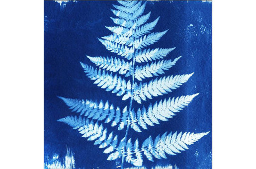Kontrastreiches Design auf einem herrlich geschmeidigen Samt-Panel, 45 x 45 cm groß! Ds4086 Premium Samt Panel Planze Samt Premium-Samt - Panel - Blue Naturesamtstoff mit blauem pflanzenmotiv