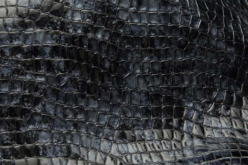 Kalbsleder mit markanter Krokodilprägung – für edle Lederwaren mit Struktur und Charakter. El1073 Echtlderpremium Crocogloss Schwarz Ganze Häute Kalbsleder Premium - Croco Gloss - SchwarzblauKalbsleder Krokodilprägung
