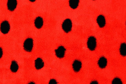 Sehr weiches Flausch-Fleece für interessante Kostüme, für Kissen, Decken, witzige Taschen und vieles mehr. Fn1234 Marienkaefer Fleece (1) Fasnacht Stoffe bunt Flausch-Fleece - MarienkäferRoter Flausch-Fleece mit schwarzen Punkten