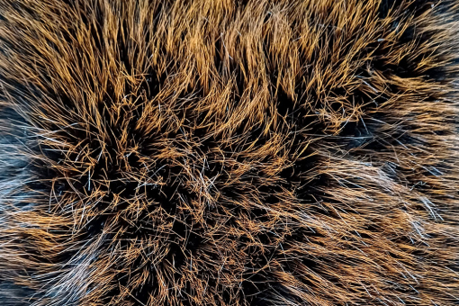Super hochwertiger Kunstpelz in tollem Orange - höchste Qualität für langanhaltende Freude! Fp1135140 Pelzimitat High Luxury Orange Flausch Fell Pelzimitat High Luxury - Outstanding OrangePelzimitat in Orange/Schwarz in höchster Qualität
