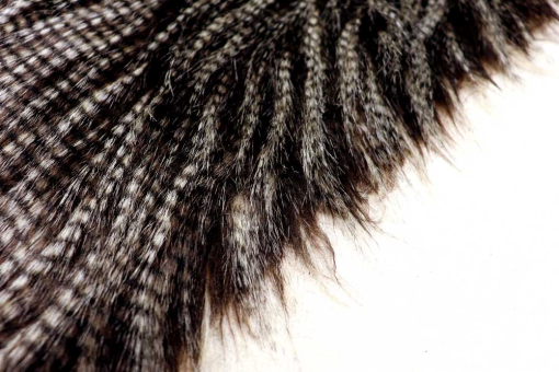 Wild, weich und außergewöhnlich: Dieses dunkle Pelzimitat erinnert an feines Federkleid. Fp1154 Pelzimitat Federn Pelzimitat Pelzimitat - BirdPelzimitat Federoptik