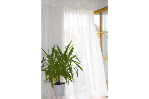 Made in Germany! Geschmeidiger Gardinenstoff in Überbreite Gs5124 Voile 310 Cm Gardinen transparent Voile lichtecht - 310 cm - BleibandWeißer transparenter Gardinenstoff