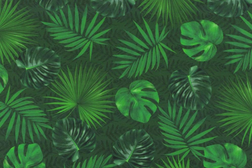 Hochwertiger Outdoor-Stoff mit tollem Motiv bestehend aus Blättern in verschiedenen Grüntönen Om5080 Outdoor Bezugsstoffe Outdoor-Stoff Dralon® - Green JungleBeschichteter Dralon-Stoff mit grünen Blättern