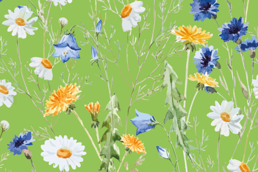 Margerite, Löwenzahn und mehr machen diesen Gardinenstoff zu eineme echten Highlight für Freunde floraler Wohnraumdeko! Voile Margeriten Gruen Gardinen transparent Voile-Gardinenstoff - Margeriten-Wiese - GrünVoile-Stoff mit Blumenmuster