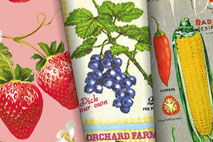 A - Deko-Stoffe Dekostoffe Obst/Gemüse Deko Stoffe Obst Gemuese Dekostoffe Obst/Gemüse