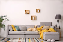 Möbelstoffe Petproof  Teaser Stoff1you Petproof