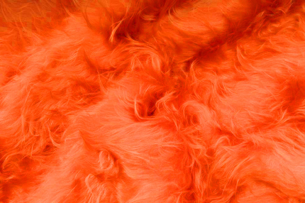 Zottelfell - Halloween - Orange 