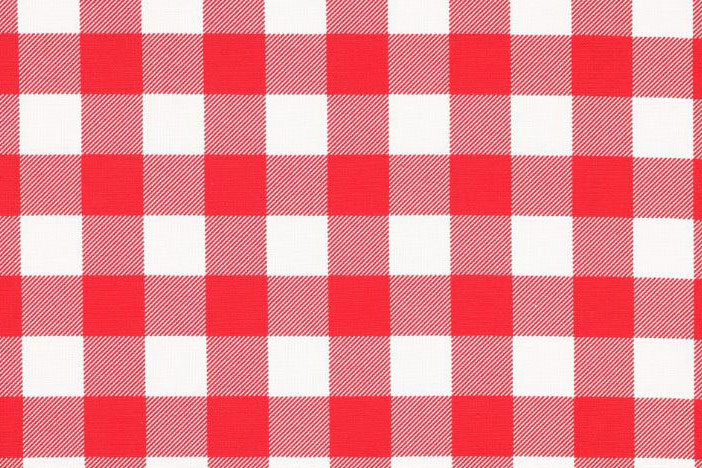 Baumwoll-Canvas wasserdicht - Karo - Rot - 1,0 Meter 