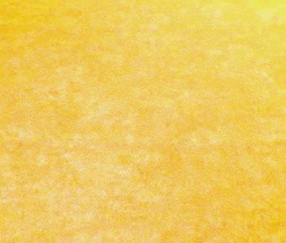 Fotohintergrund Bicolor 280 x 500 cm - Ohne Naht 