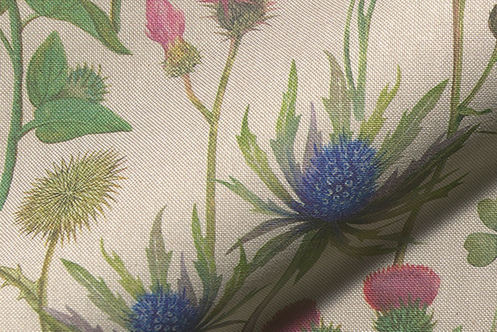 Wunderhübsches florales Design auf tollem Dekostoff - bestellen Sie jetzt und verzaubern Sie sich, Freunde und Bekannte! Ds1932 Dekostoff Leinenoptik Distelfeld (1) Übergardinen Premium-Dekostoff Leinenoptik - Distelfeld