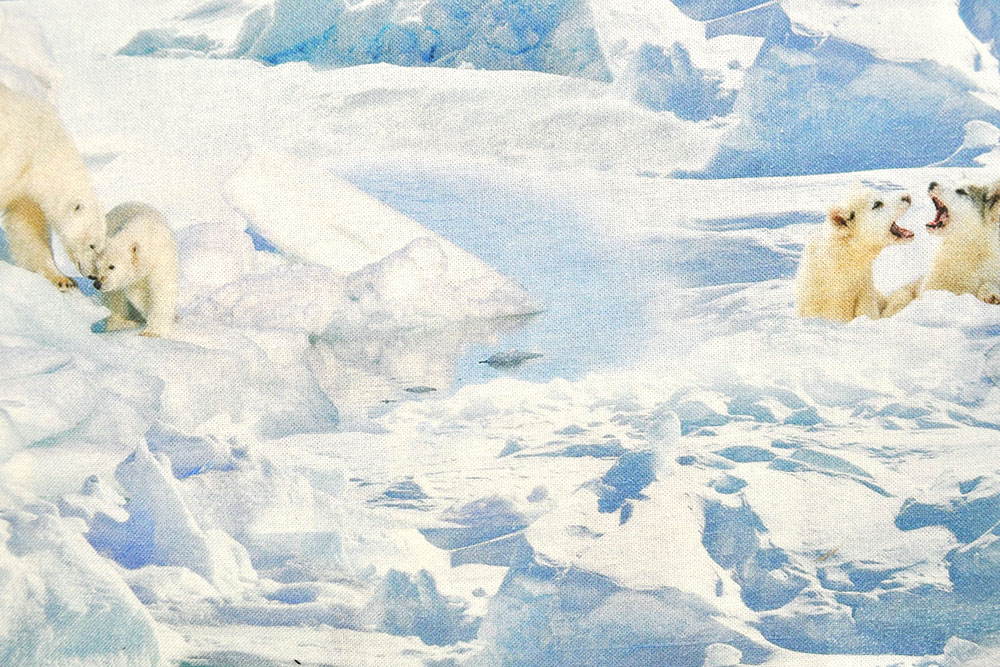 Setzen Sie ein Zeichen und bieten Sie den Eisbären auf diesem digital bedruckten Dekostoff ein Zuhause! Ds2330 Dekostoff Digital Eisbaeren Auslaufende Dekostoffe % Dekostoff Digitaldruck - Leben der Eisbären