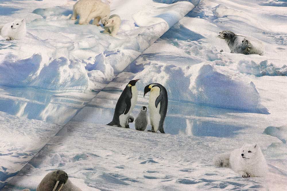 Setzen Sie ein Zeichen und bieten Sie den Eisbären auf diesem digital bedruckten Dekostoff ein Zuhause! Ds2330 Dekostoff Digital Eisbaeren S4 Digital-Drucke Dekostoff Digitaldruck - Leben der Eisbären