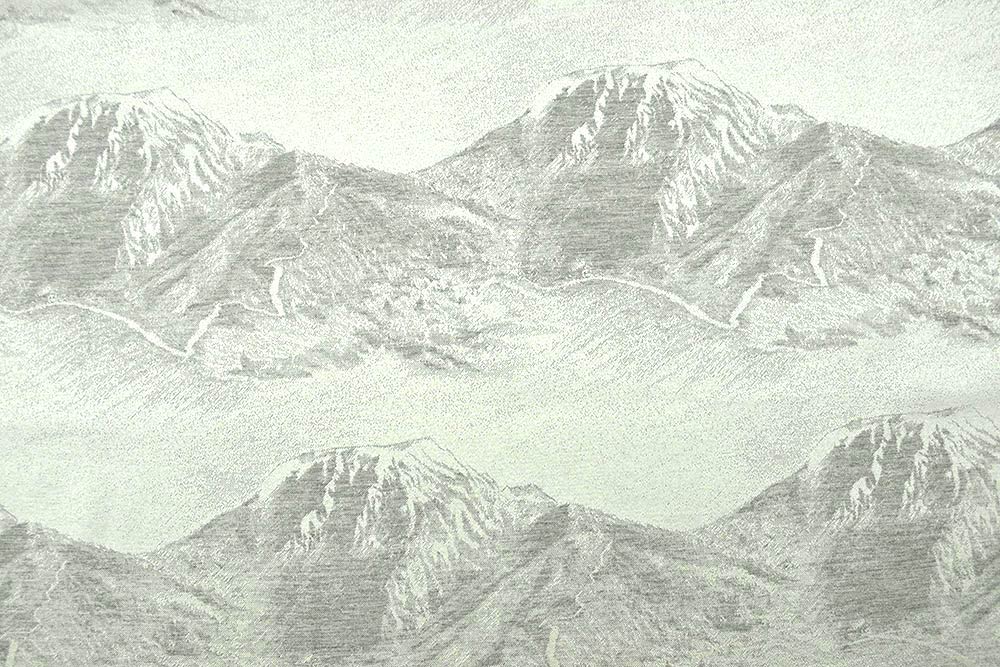 Bergluft für daheim! Dieser durchgewebte Jacquard sorgt für ein ganz besonderes Ambiente - ideal für Gardinen, Kissen etc. Ds6049 Jacquard Berge Grau S4 Übergardinen Dekostoff Jacquard - zweiseitig - Alpenblick - Grau/Creme