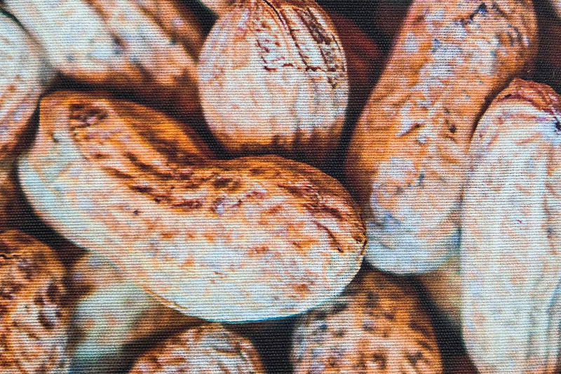Fotorealistischer Dekostoff für alle, die gerne an Nüssen knabbern Ds6374 Dekostoff Erdnuesse Dekostoffe NEU  Dekostoff Premium - Erdnüsse
