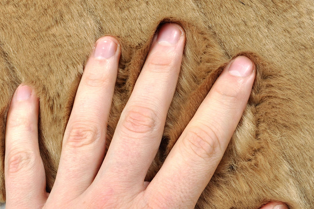 Schwere Premiumware mit flauschigen, ca. 1,5 cm langen Haaren - edle Auftritte und flauschig-weiche Kreationen garantiert! Fp1102 Nerz Pelz Braun Pelzimitat Nerz-Pelzimitat - Braun