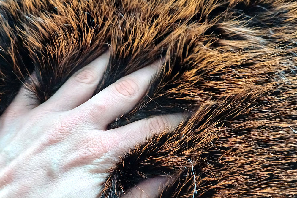 Super hochwertiger Kunstpelz in tollem Orange - höchste Qualität für langanhaltende Freude! Fp1135140 Pelzimitat High Luxury Orange Flausch Fell Pelzimitat High Luxury - Outstanding Orange