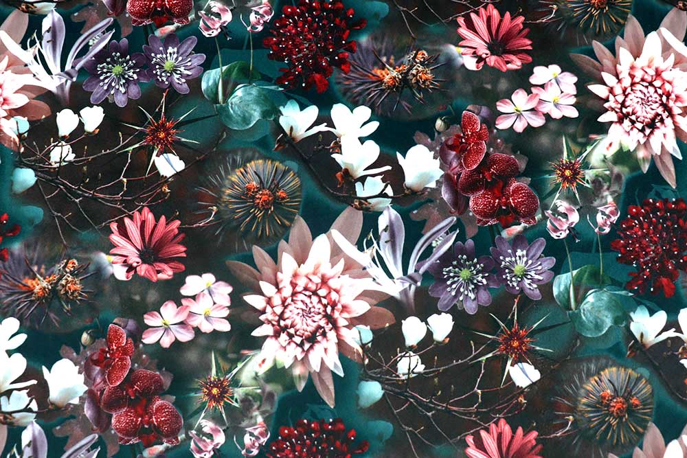 Reißfester Möbelstoff mit knalligem Design, der 100.000 Scheuertouren standhält! Ms519 Moebelstoff Blumen S4 Digital-Drucke Möbelsamt - Oase
