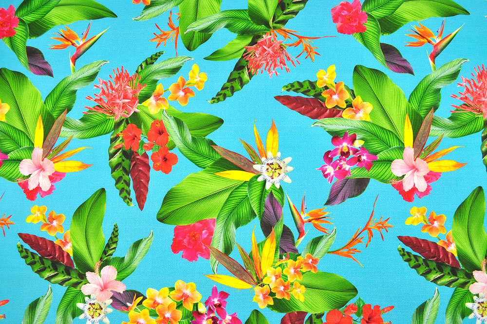 Tropisches Motiv auf toller und sehr hochwertiger Outdoor-Stoff-Meterware  Om5111 Dralon Digitaldruck Exotic Garden S4y Outdoor Bezugsstoffe Outdoor-Stoff Dralon® - Exotic Garden