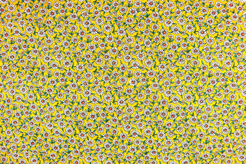 Florale Frühlingsgefühle und Sommerträume auf herrlich weicher Baumwolle Sp174014 Baumwollstoff Gaensebluemchen S4 Baumwolle Blumen Baumwollstoff - Gänseblümchen - Gelb