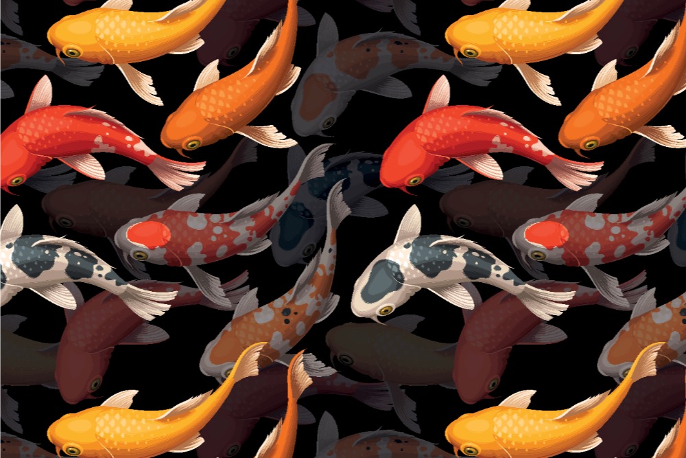 Geschmeidiger Satin mit tollem Glanz und außergewöhnlichem Fisch-Print 103294 Satin Koi Fischschwarm Schwarz Gemustert Satin - Koi Fischschwarm
