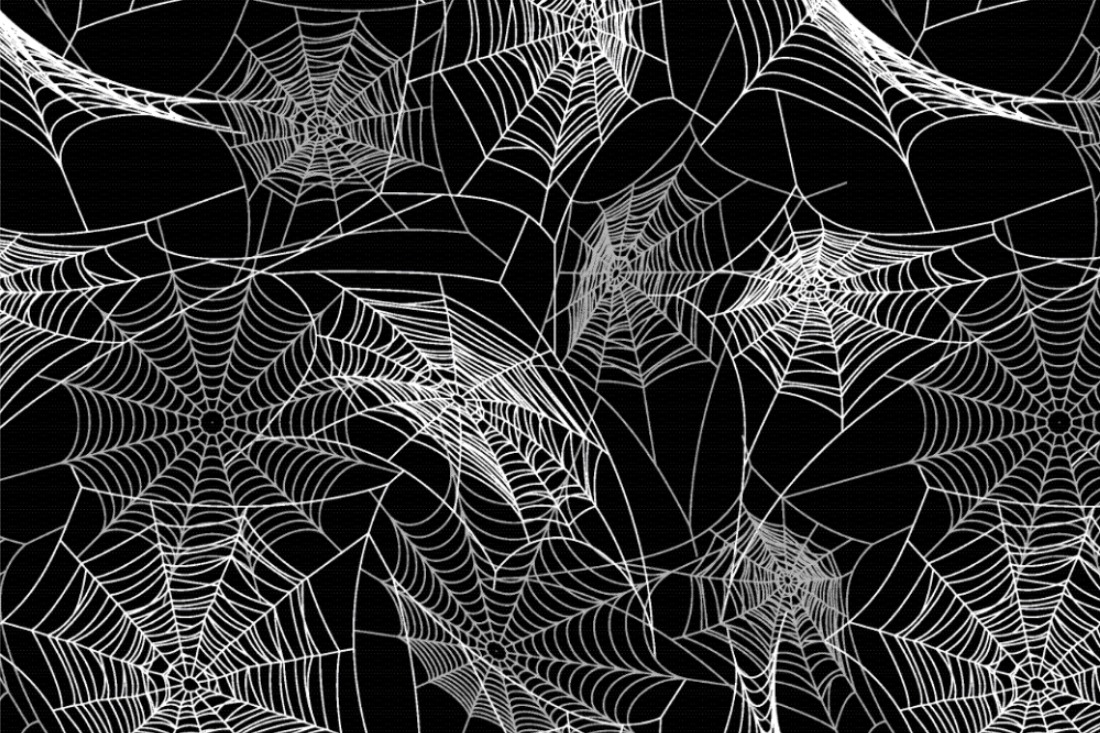 Klassischer, schwarzer Pannesamt mit weißen Spinnennetzen - perfekt für Halloween und vieles mehr! 103383 Pannesamt Spinnennetze Schwarz Weiss Pannesamt - Spinnennetze Allover
