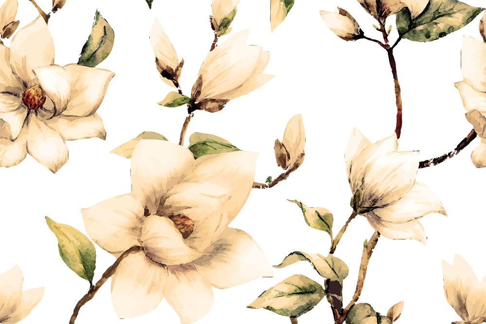 Transparenter Gardinenstoff mit großrapportigem Blumen-Design - echtes Eye-Candy als Fensterdeko! 105413 Voile Magnolien Weiss S4 Gardinen transparent Voile - Magnolien-Traum