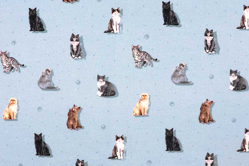 Schöne Baumwoll-Popeline mit realistischem Katzen-Print - ideal für alle, die die Samtpfoten lieben! Co6878 Baumwollstoff Katzen Hellblau S4 Baumwolle Tiere Baumwoll-Popeline - Katinka