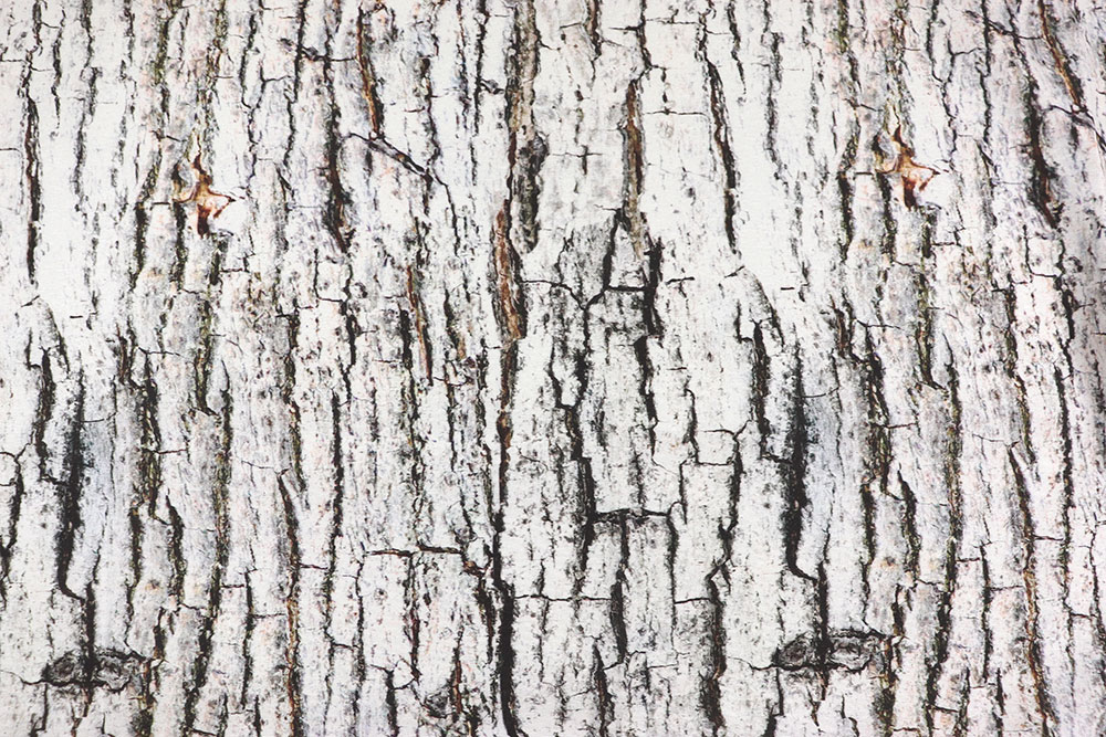 Mit dieser schönen Ware holen Sie sich Wald-Feeling nach Hause - der täuschend echt wirkende Holz-Print sorgt für tolle Effekte Ds6268 Dekostoff Baumrinde S4 Übergardinen Dekostoff - Baumrinde