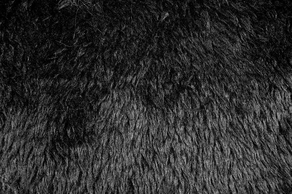 Herrlich flauschiges, schweres Kunstfell für Kostüme, Accessoires und vieles mehr Sp176005 Zottelfell Schwarz Zottel Fell Zottelfell - Schwarz